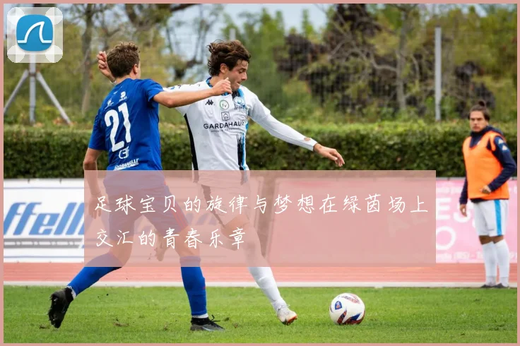 足球宝贝的旋律与梦想在绿茵场上交汇的青春乐章